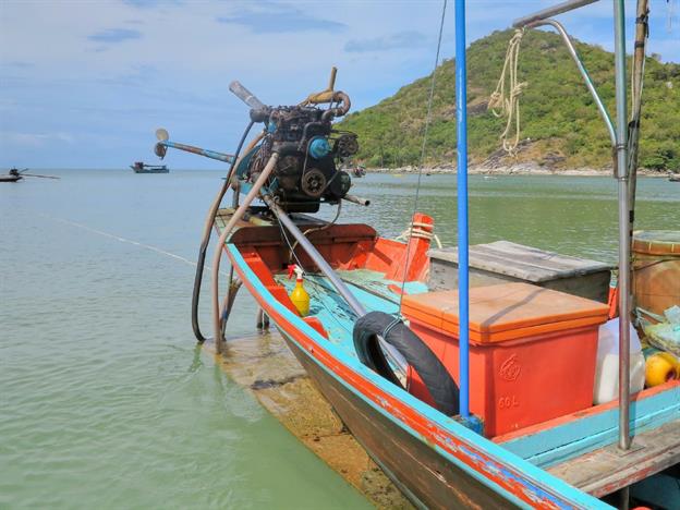 Die Longtail-Boote (Langschwanzboot) ... So nennen die buddhistischen Thailänder das Schlanke Boot, auf dessen Heck ein starker Automotor thront. Diese Boote sind für Thailand sehr typisch. Seine lange Antriebswelle, welche dem Boot den Namen gibt, hängt wie ein Schwanz über das Heck ins Wasser. Durch die fehlende Isolation sind sie nicht gerade leise und der Fahrer balanciert den Motor samt dem "Longtail" mit der Schraube an einer langen Eisenstange. Dabei wird die Schraube ganz wenig in das Wasser gedrückt. Wir haben noch nicht herausgefunden, warum die Boote so konstruiert werden. Vielleicht wegen den flachen Gewässern oder weil es eine günstige Art ist, ein Schif so zu motorisieren.